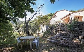 Bas De Villa Au Milieu Des Oliviers.