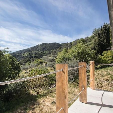 Bas De Villa Au Milieu Des Oliviers. Chateauneuf-Villevieille Buitenkant foto