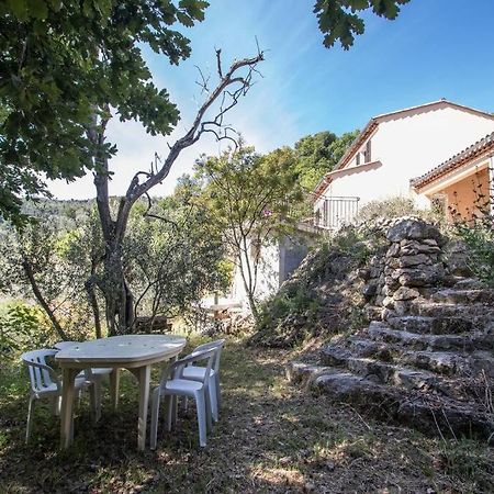 Bas De Villa Au Milieu Des Oliviers. Chateauneuf-Villevieille Buitenkant foto
