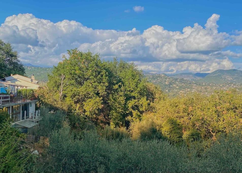 Bas De Villa Au Milieu Des Oliviers. Chateauneuf-Villevieille Buitenkant foto